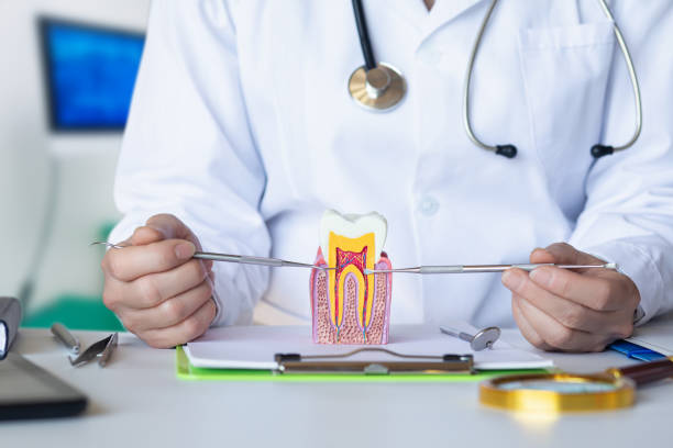Best Emergency Dentist for Special Needs Patients in Rio Vista, TX